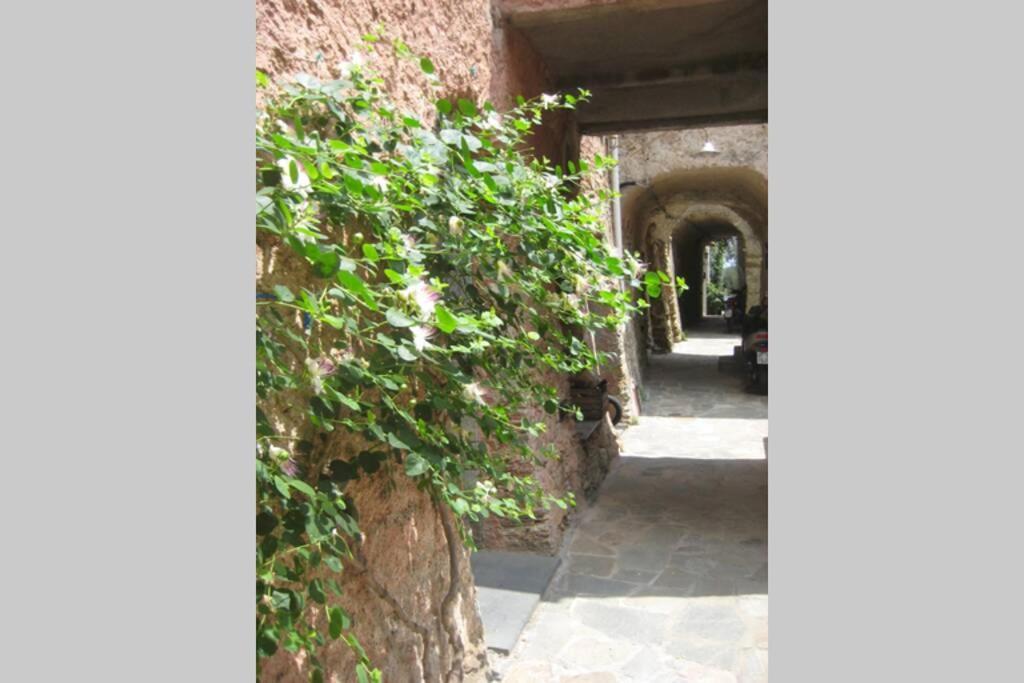 Villa La Casa Di Sandra A Noli Exterior foto