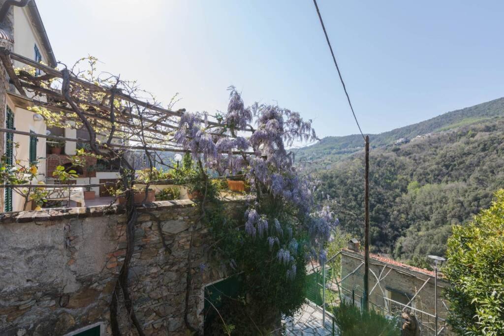 Villa La Casa Di Sandra A Noli Exterior foto